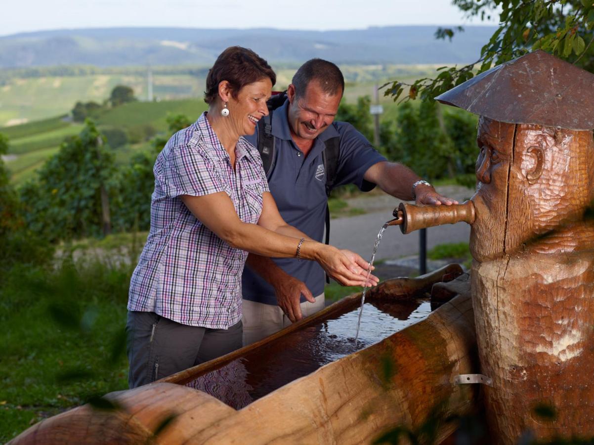 Апартаменты Weingut Christoffel Kovenig Экстерьер фото