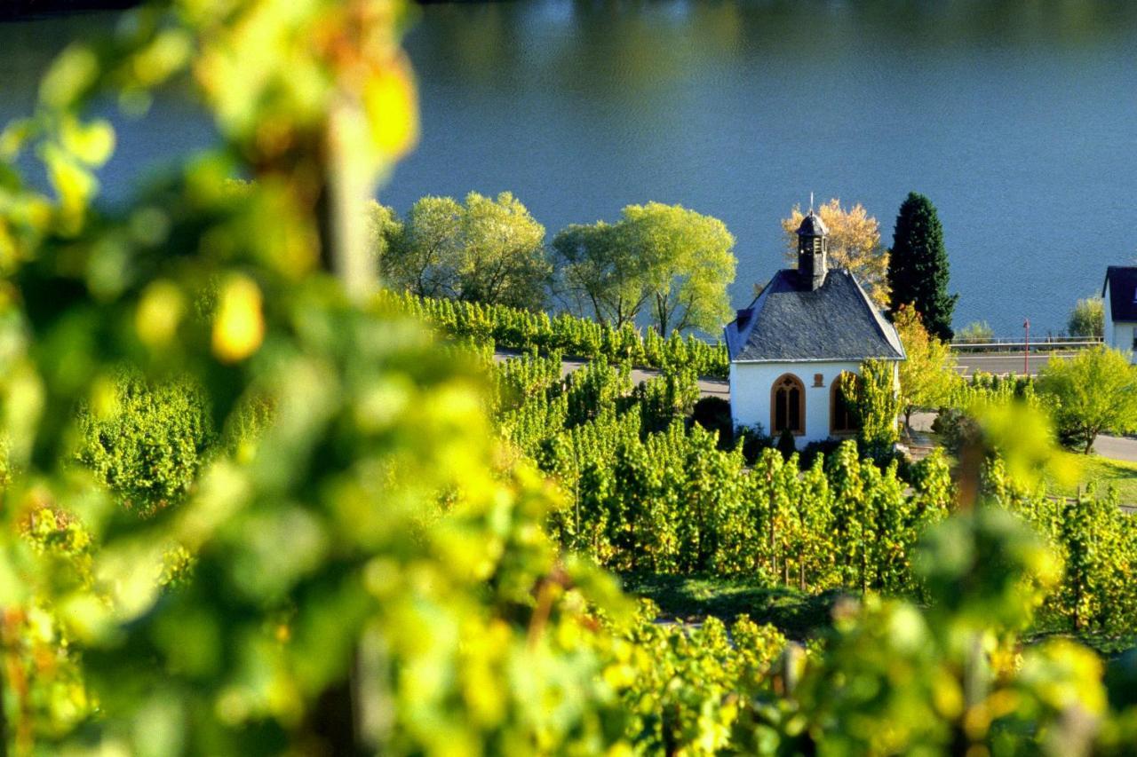 Апартаменты Weingut Christoffel Kovenig Экстерьер фото